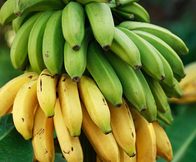 3 situacijos, kai bananas geriau nei tabletė